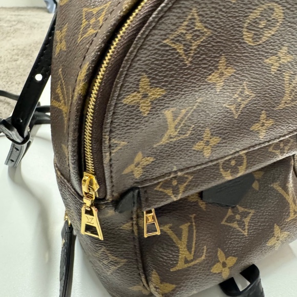 Louis Vuitton Palm Springs Backpack Mini main image 7